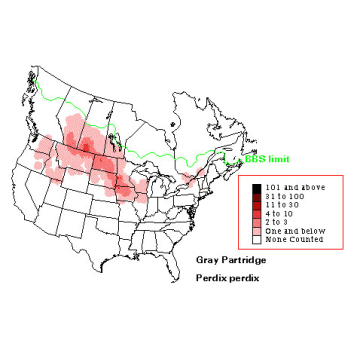 Gray Partridge distribution map