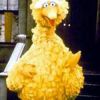 BigBird