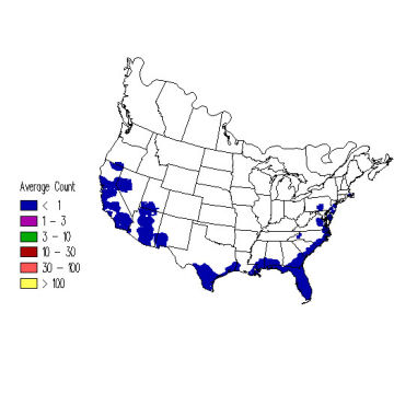 Western Kingbird winter distribution map