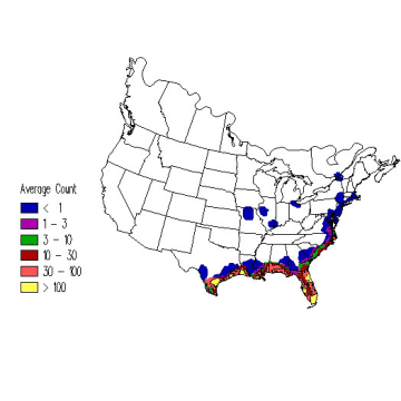 Laughing Gull winter distribution map