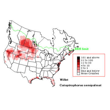 Willet distribution map