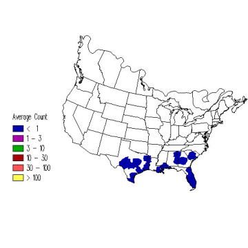 Magnolia Warbler winter distribution map