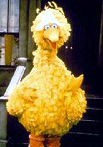 Bigbird