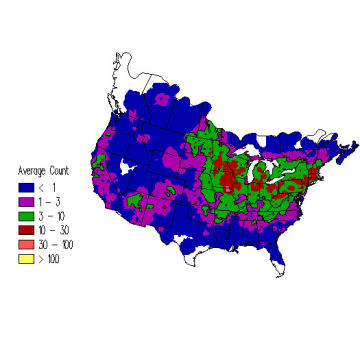 White-breasted Nuthatch winter distribution map