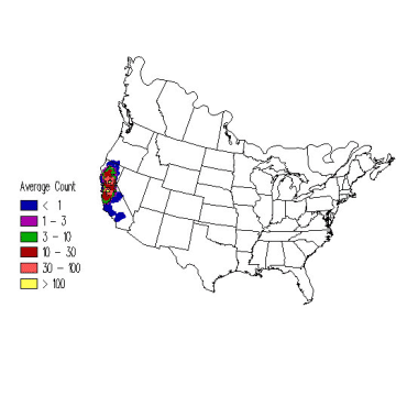 Yellow-billed Magpie winter distribution map