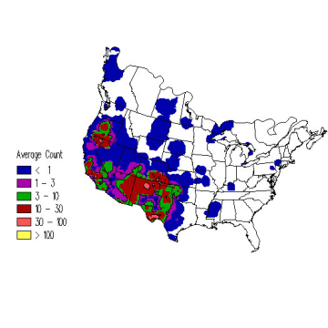 Mountain Bluebird winter distribution map