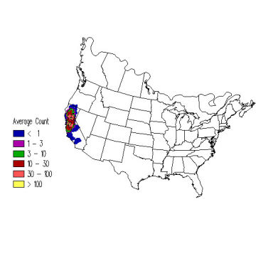 Yellow-billed Magpie winter distribution map