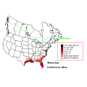 American White Ibis distribution map