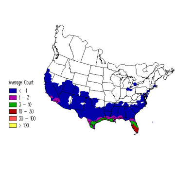 Blue-gray Gnatcatcher winter distribution map
