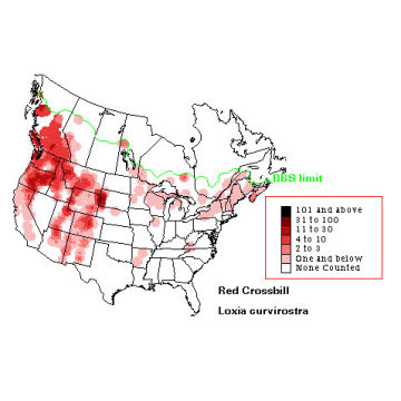 Red Crossbill distribution map