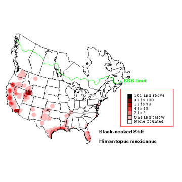 Black-necked Stilt distribution map