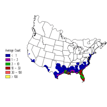 Little Blue Heron winter distribution map