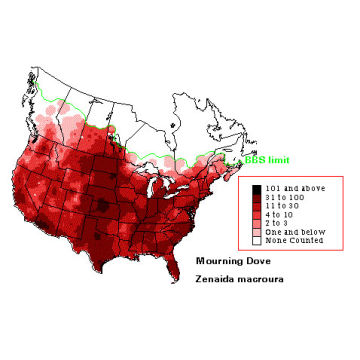 Mourning Dove distribution map