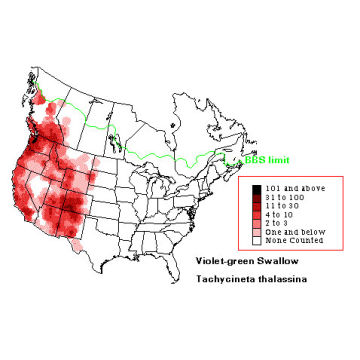 Violet-green Swallow distribution map