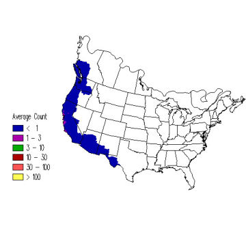 Hutton's Vireo winter distribution map