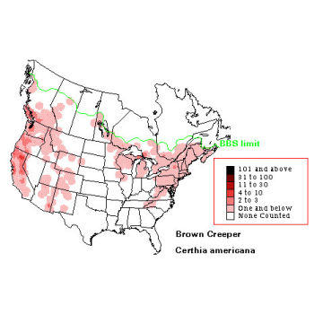 Brown Creeper distribution map