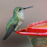 Female at Littleton, Colorado on August 1, 2009