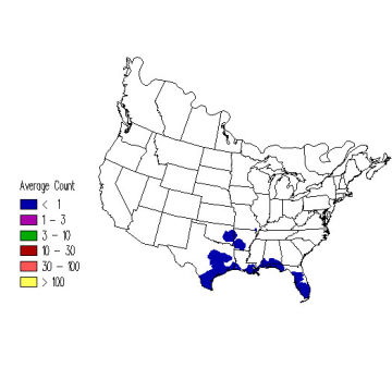 Scissor-tailed Flycatcher winter distribution map