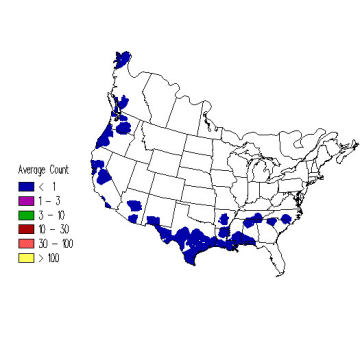 Rufous Hummingbird winter distribution map