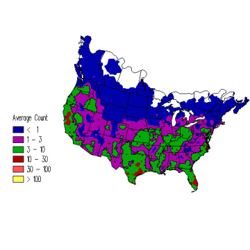 American Kestrel winter distribution map