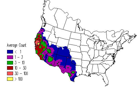 Lesser Goldfinch - eBirdr