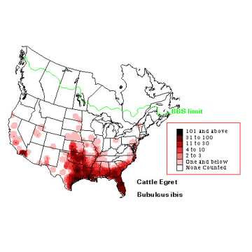 Cattle Egret distribution map