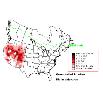 Green-tailed Towhee distribution map