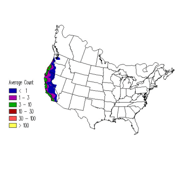 Wrentit winter distribution map