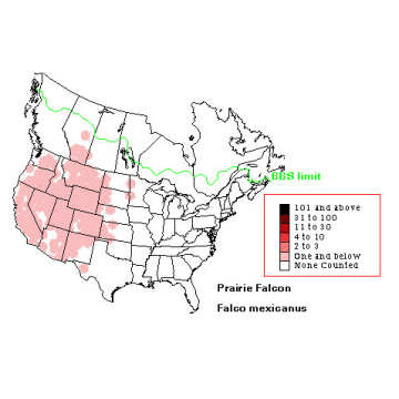 Prairie Falcon distribution map