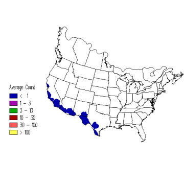 Common Poorwill winter distribution map