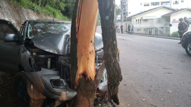 Caminhonete bate violentamente contra árvore em Joaçaba