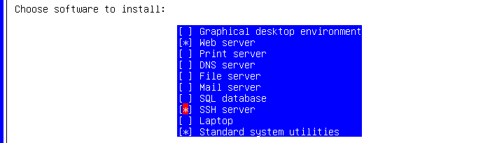 debian_install_software