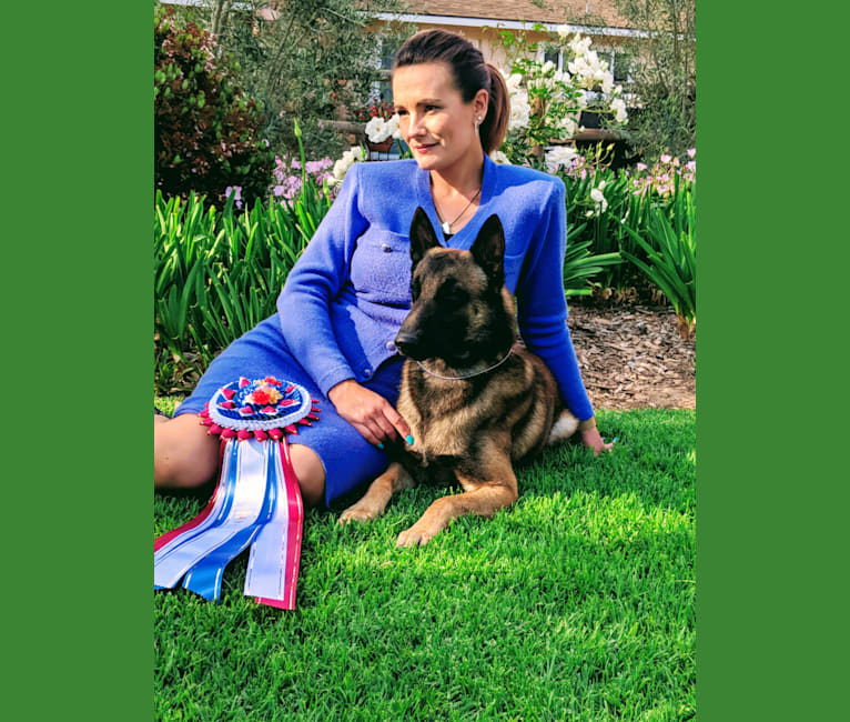 Embark Dog DNA Test Breed