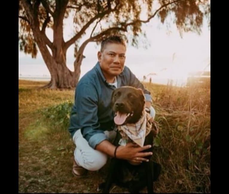 Tucker, a Labrador Retriever and American Pit Bull Terrier mix tested with EmbarkVet.com