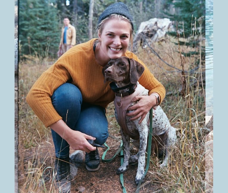 Juniper, a German Shorthaired Pointer tested with EmbarkVet.com