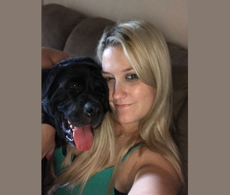 Ben, a Bulldog and Neapolitan Mastiff mix tested with EmbarkVet.com