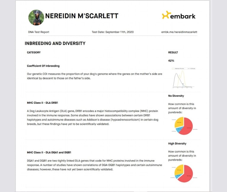Nereidin M'Scarlett, a Doberman Pinscher tested with EmbarkVet.com