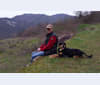 HIRO, a Labrador Retriever and Border Collie mix tested with EmbarkVet.com