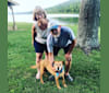 Riley, an Australian Cattle Dog and Labrador Retriever mix tested with EmbarkVet.com