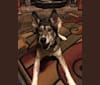 Photo of Destiny, a Siberian Husky, German Shepherd Dog, and Rottweiler mix
