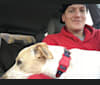 Ally, a Labrador Retriever and Australian Cattle Dog mix tested with EmbarkVet.com