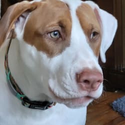 Wilhelmina "Winnie"