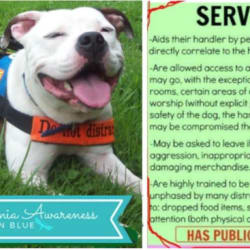 embark