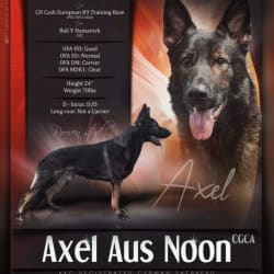Axel Aus Noon