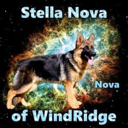 Stella Nova of WindRidge