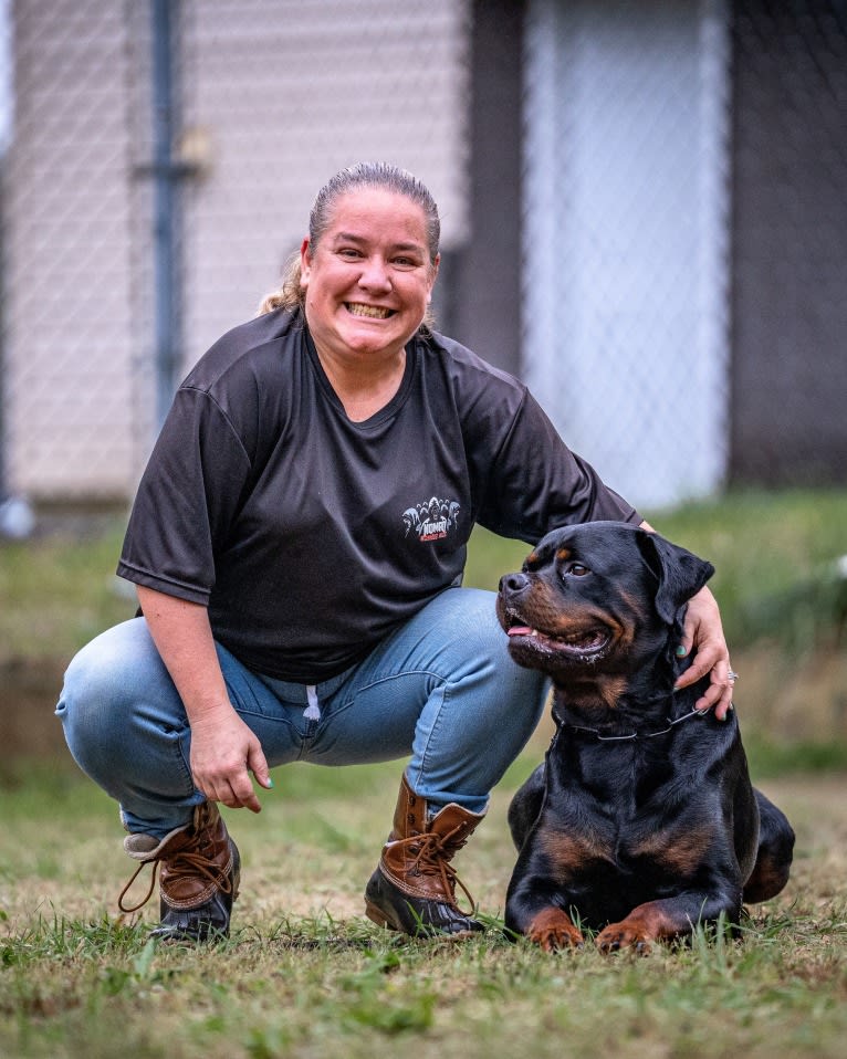 Kratos Raiju, a Rottweiler tested with EmbarkVet.com