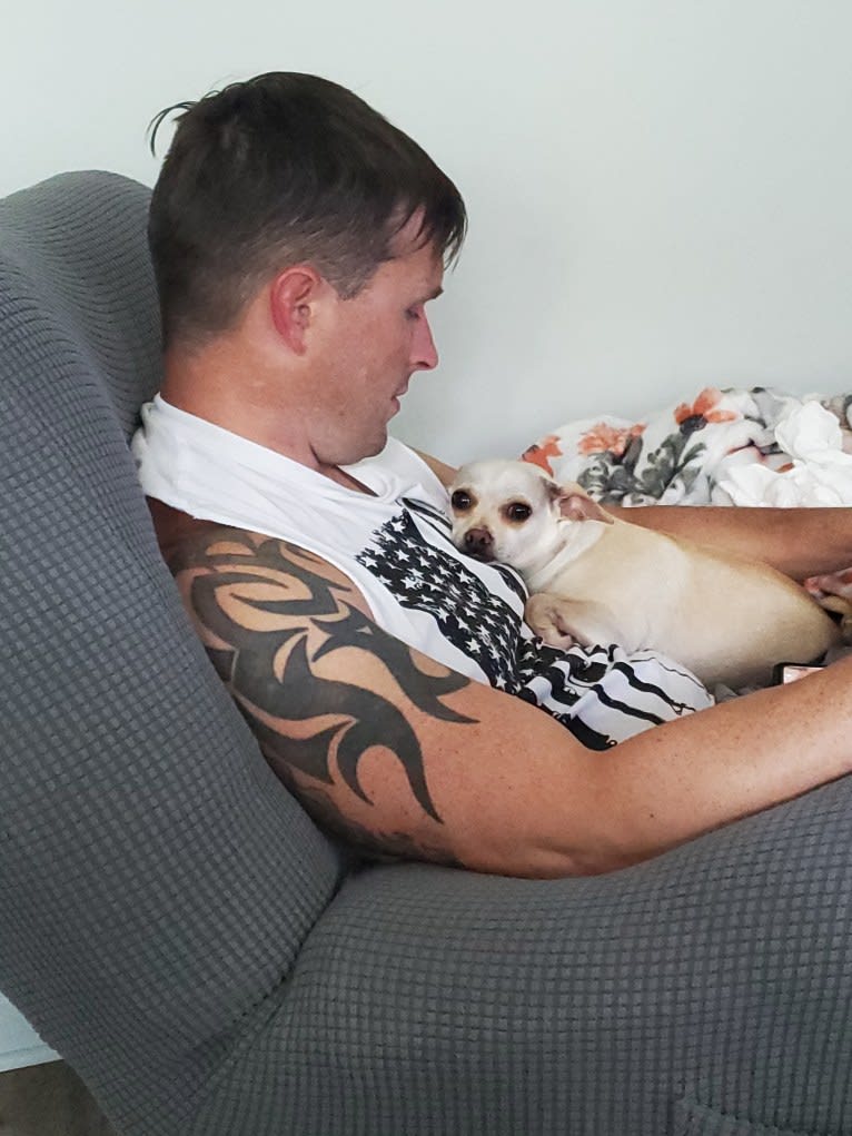 Panilla, a Chihuahua (12.9% unresolved) tested with EmbarkVet.com