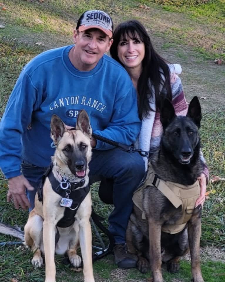Carbonado, a Belgian Malinois and German Shepherd Dog mix tested with EmbarkVet.com
