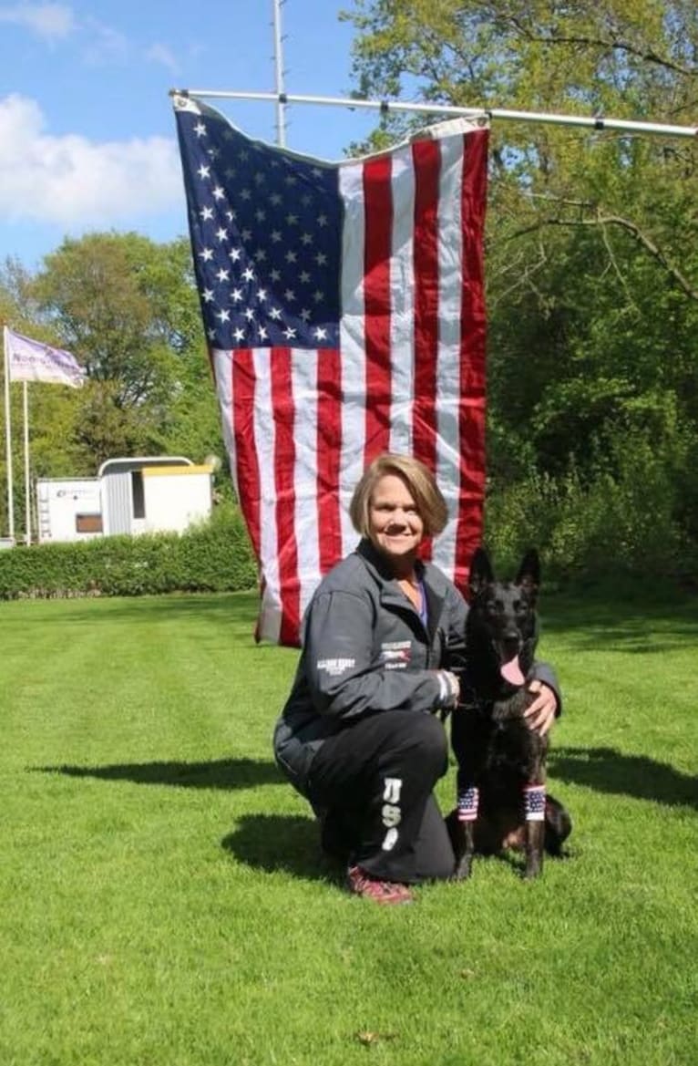 Nike des las Flores, a Dutch Shepherd tested with EmbarkVet.com