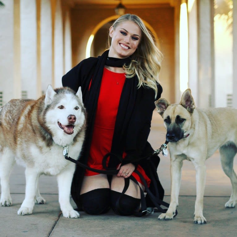 Lilith, a German Shepherd Dog and Pomeranian mix tested with EmbarkVet.com